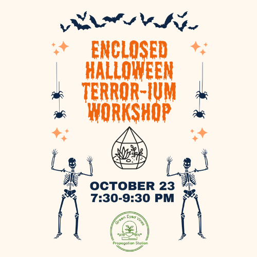 Enclosed Halloween Terrarium Workshop