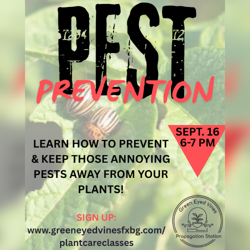 Pest Prevention Class