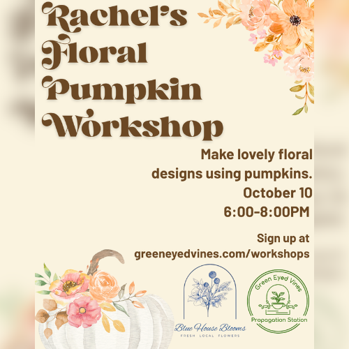 Rachel’s Pumpkin Floral Workshop