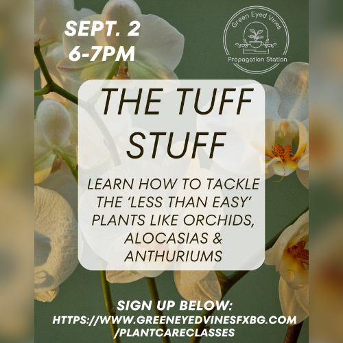The Tuff Stuff Class