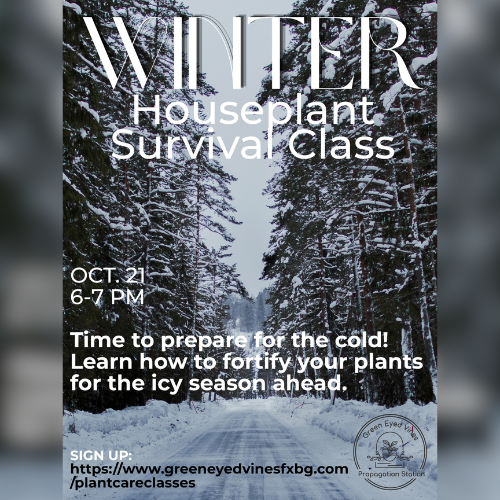 Winter Houseplant Survival Class