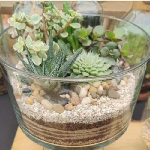 Desert Landscape Terrarium Workshop