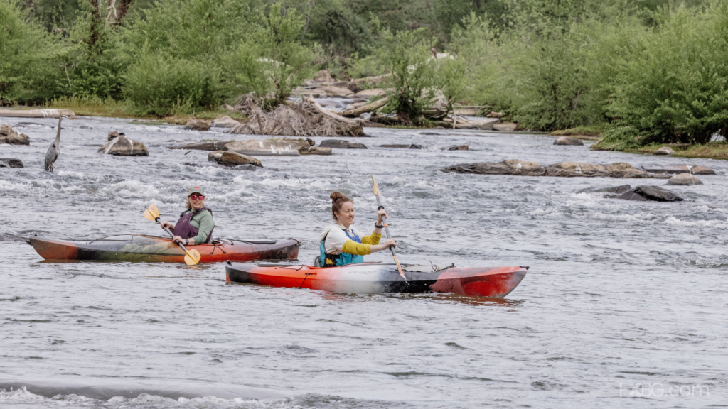 Two people paddle red and orange kayaks down the Rappahannock River, passing rocks and logs along the banks with dense green trees and hills in the background.