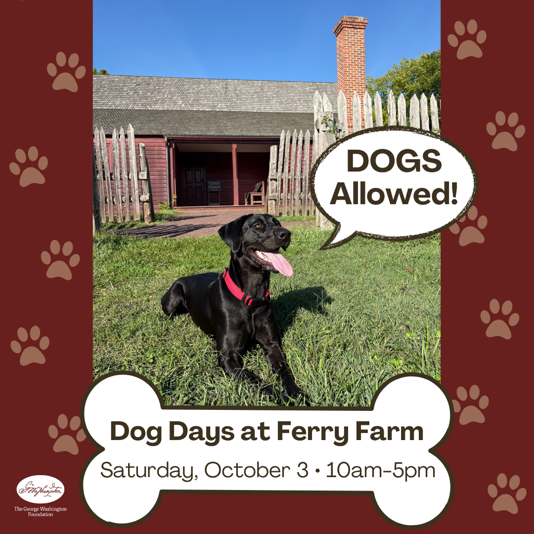 Promotional flyer for “Dog Days at Ferry Farm” showing a black dog on green grass, a fenced farm entrance with a brick chimney, and text “DOGS Allowed!” plus “Saturday, October 3 · 10am–5pm.”