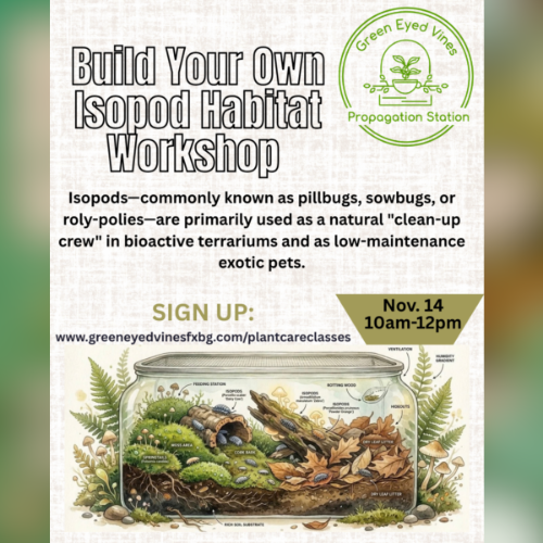 Flyer for a “Build Your Own Isopod Habitat Workshop” by Green Eyed Vines, with a circular logo, workshop details for Nov. 14 (10am–12pm), an isopod terrarium illustration, and sign-up information.