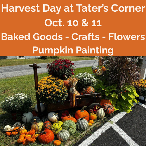 Harvest Day Event & Flower Bar at Tater’s Corner