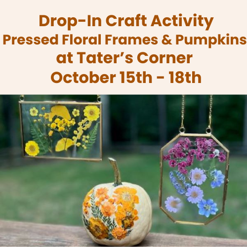 Drop-In Craft Activity at Tater’s Corner – Pressed Flower Frames & Pumpkins